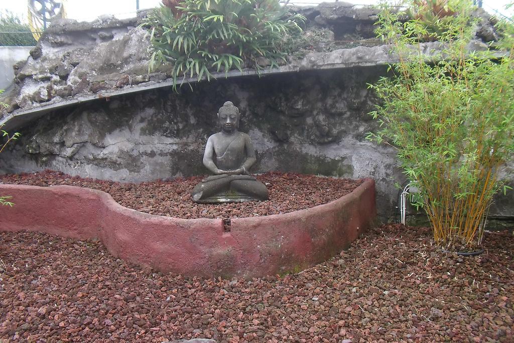 Les Grevilleas La Plaine des Cafres Esterno foto