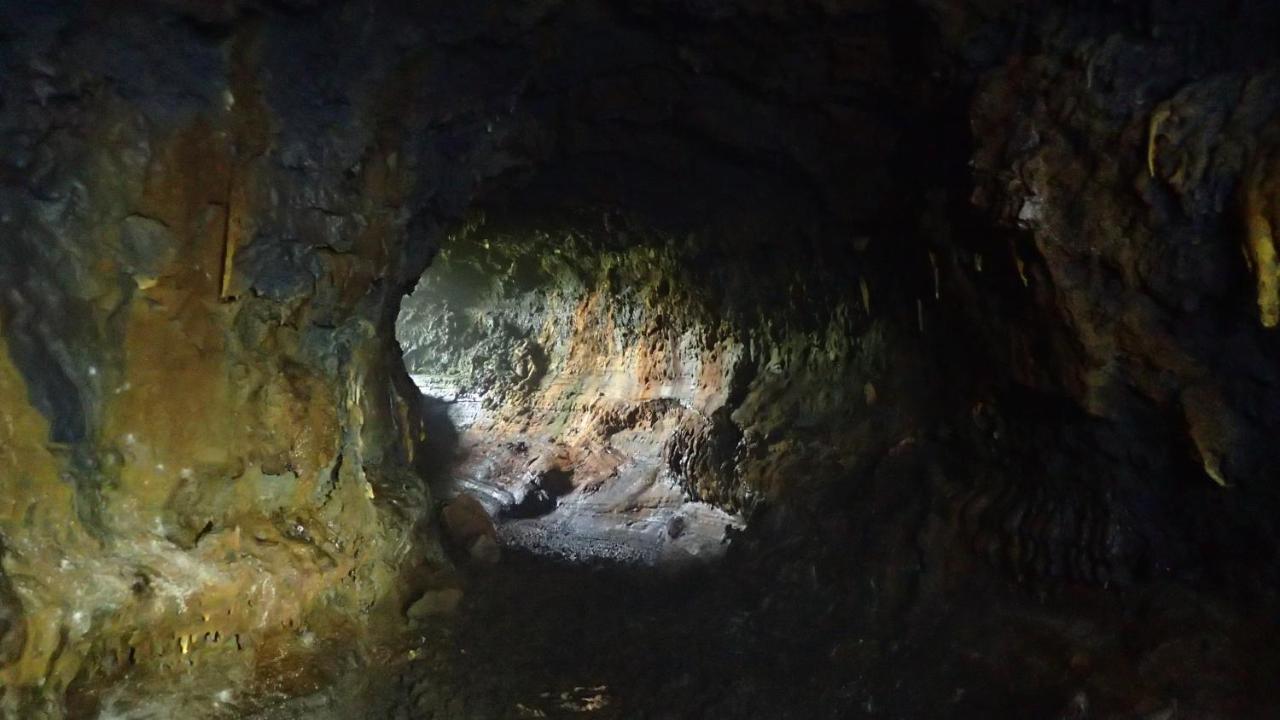 Les Grevilleas La Plaine des Cafres Esterno foto